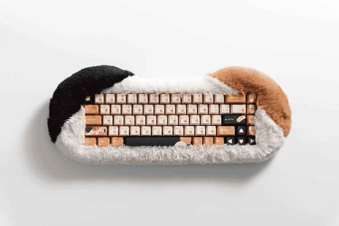 Dry Studio PETBRICK 65 - Angry Miao
