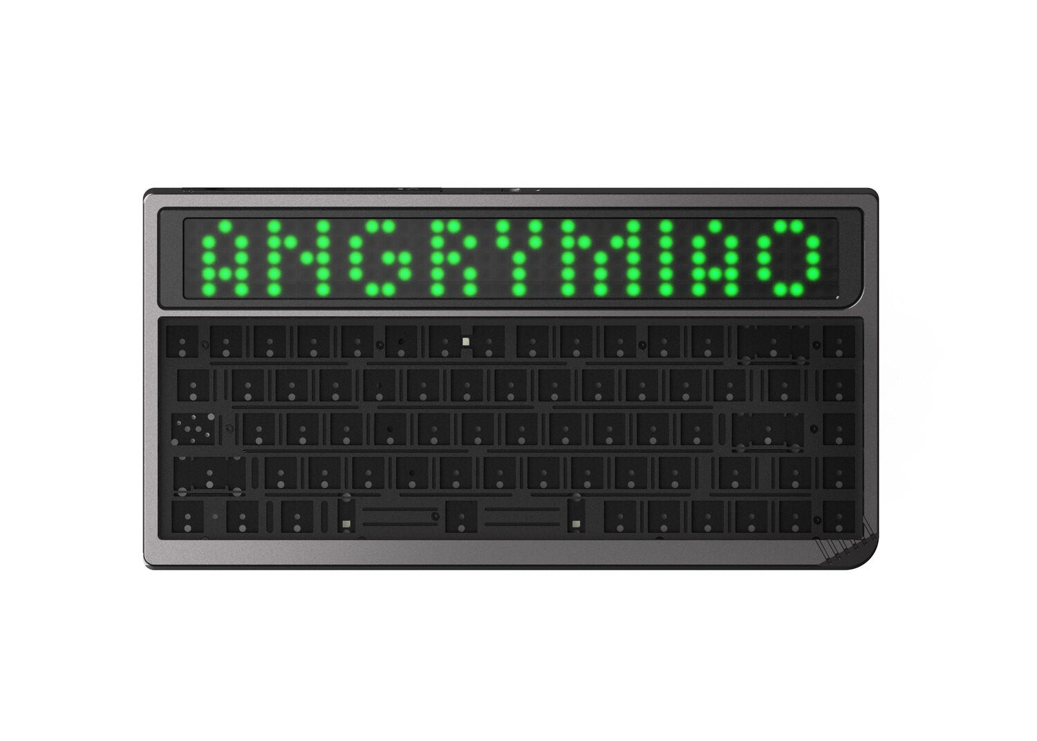 AM RGB 65 - Angry Miao
