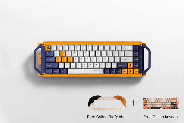 Dry Studio PETBRICK 65