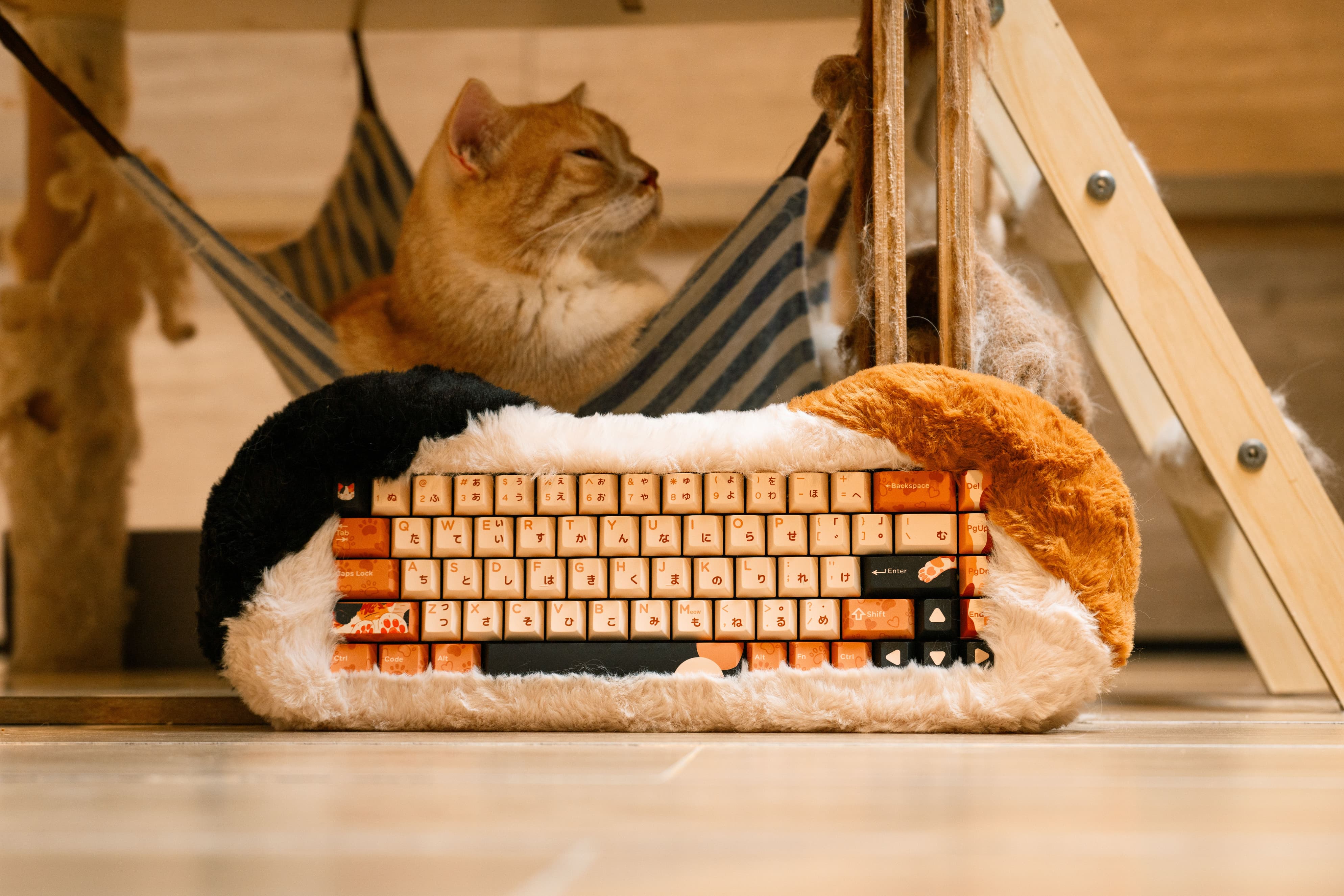 Dry Studio PETBRICK 65 - Angry Miao