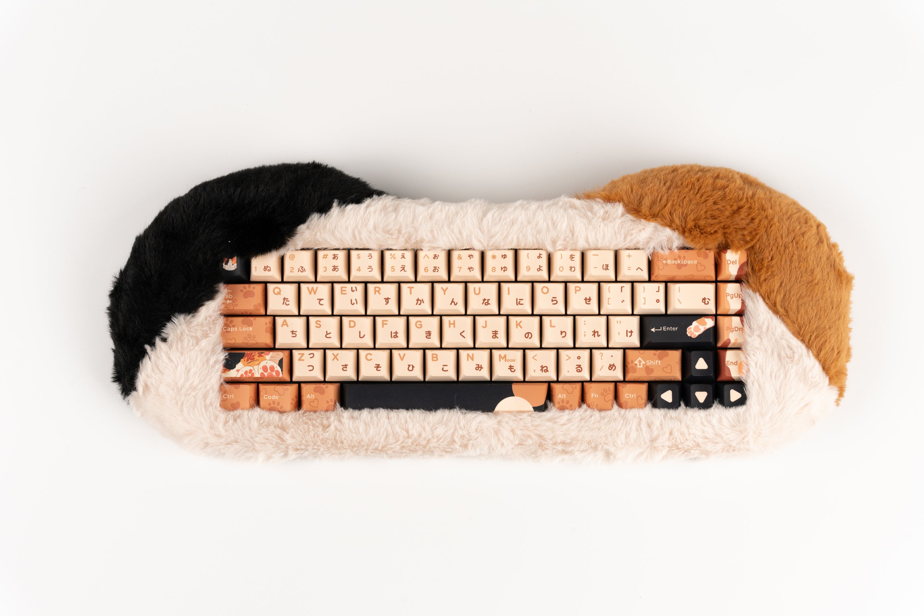 Dry Studio PETBRICK 65 - Angry Miao