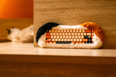 Dry Studio PETBRICK 65 - Angry Miao