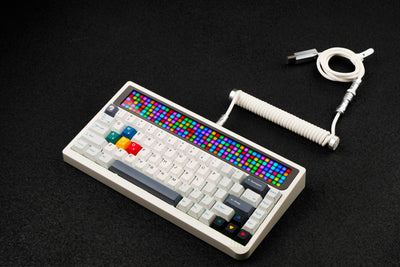 WINSHOP Coiled Aviator Cable for AM RGB 65 - Angry Miao