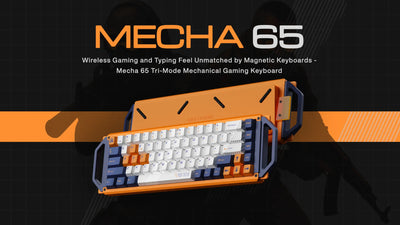 Dry Studio Mecha 65 - Angry Miao