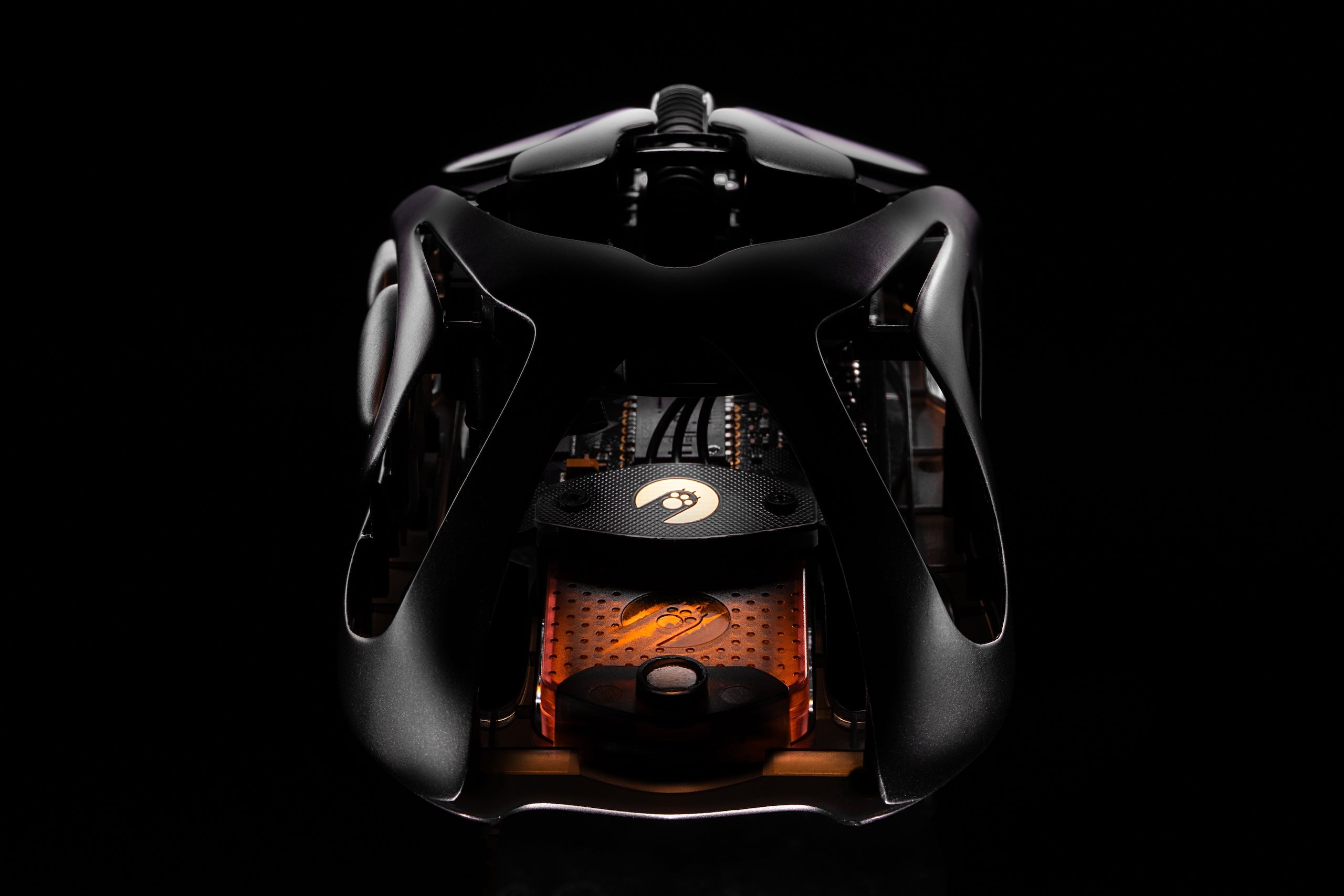 souris squeletonisée