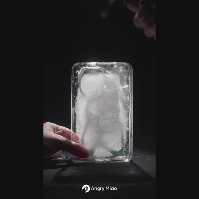 AM Emptiness Phone Case (for charger combo)