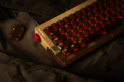 Retro 63 RT - Angry Miao