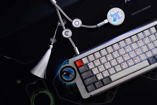 AM x WINSHOP Split Dual 8K Gaming Cable Braided Metal + OCC